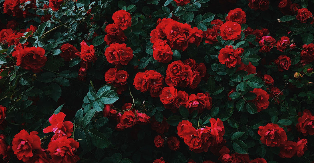 Anniversary Gift Ideas That Will WOW Your Sweetheart - Soulmate Customs