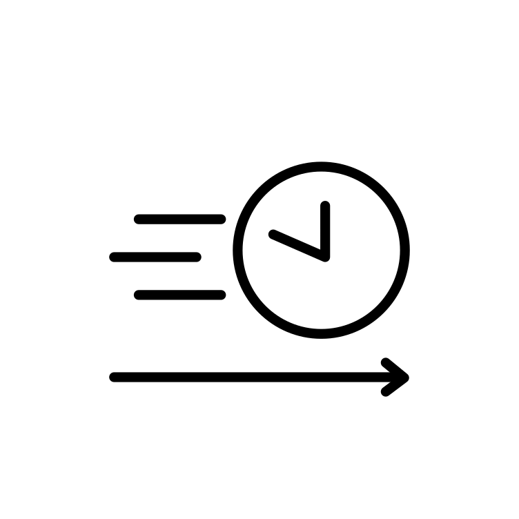 Expedited Processing - Soulmate Customs